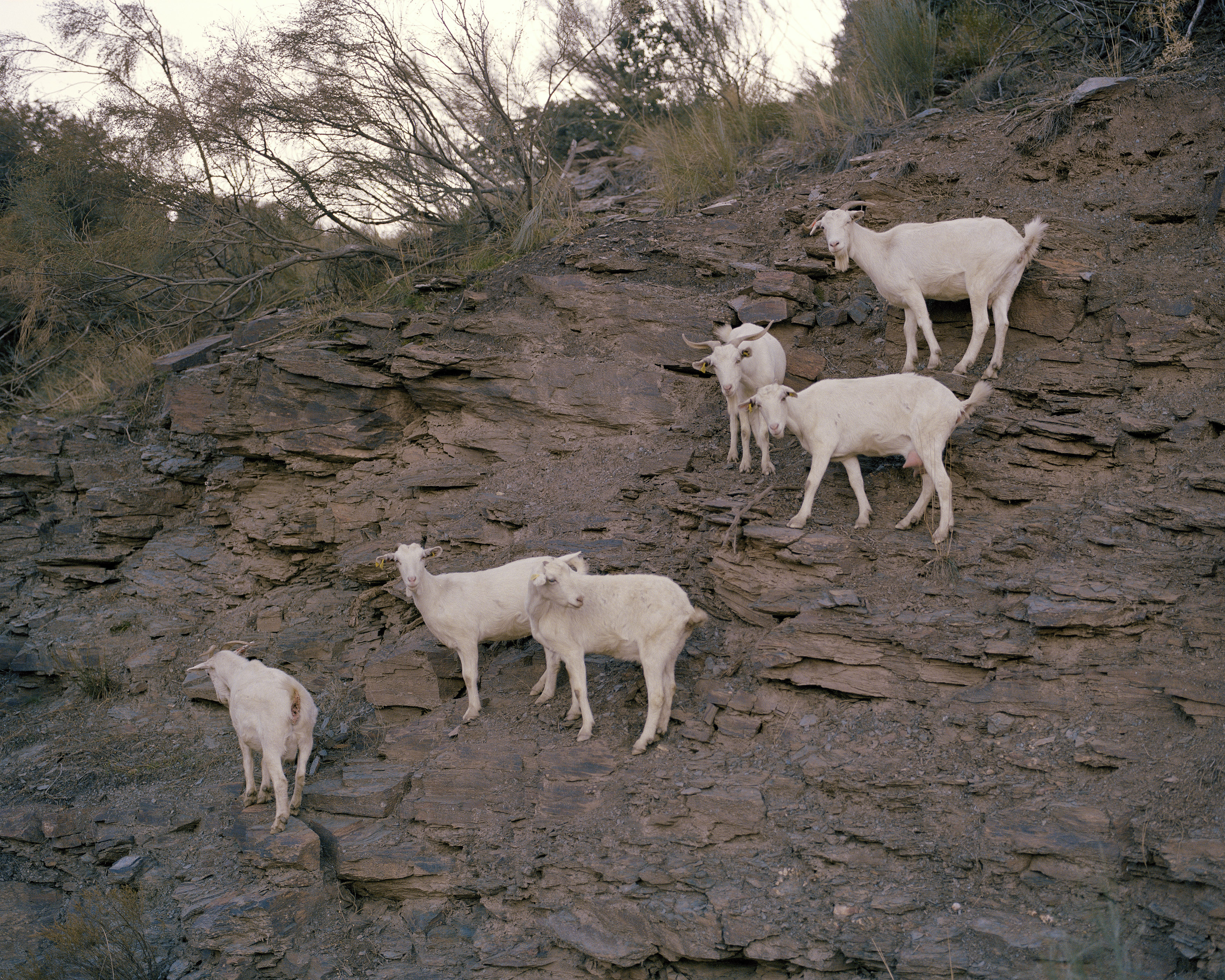  Ricardo Wiesinger Documentary and Portrait Photographer Editorial and Corporate