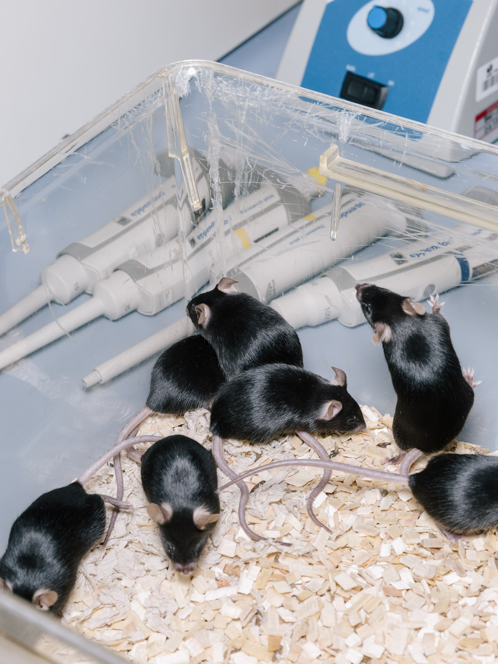  Ricardo Wiesinger Documentary and Portrait Photographer Editorial and Corporate