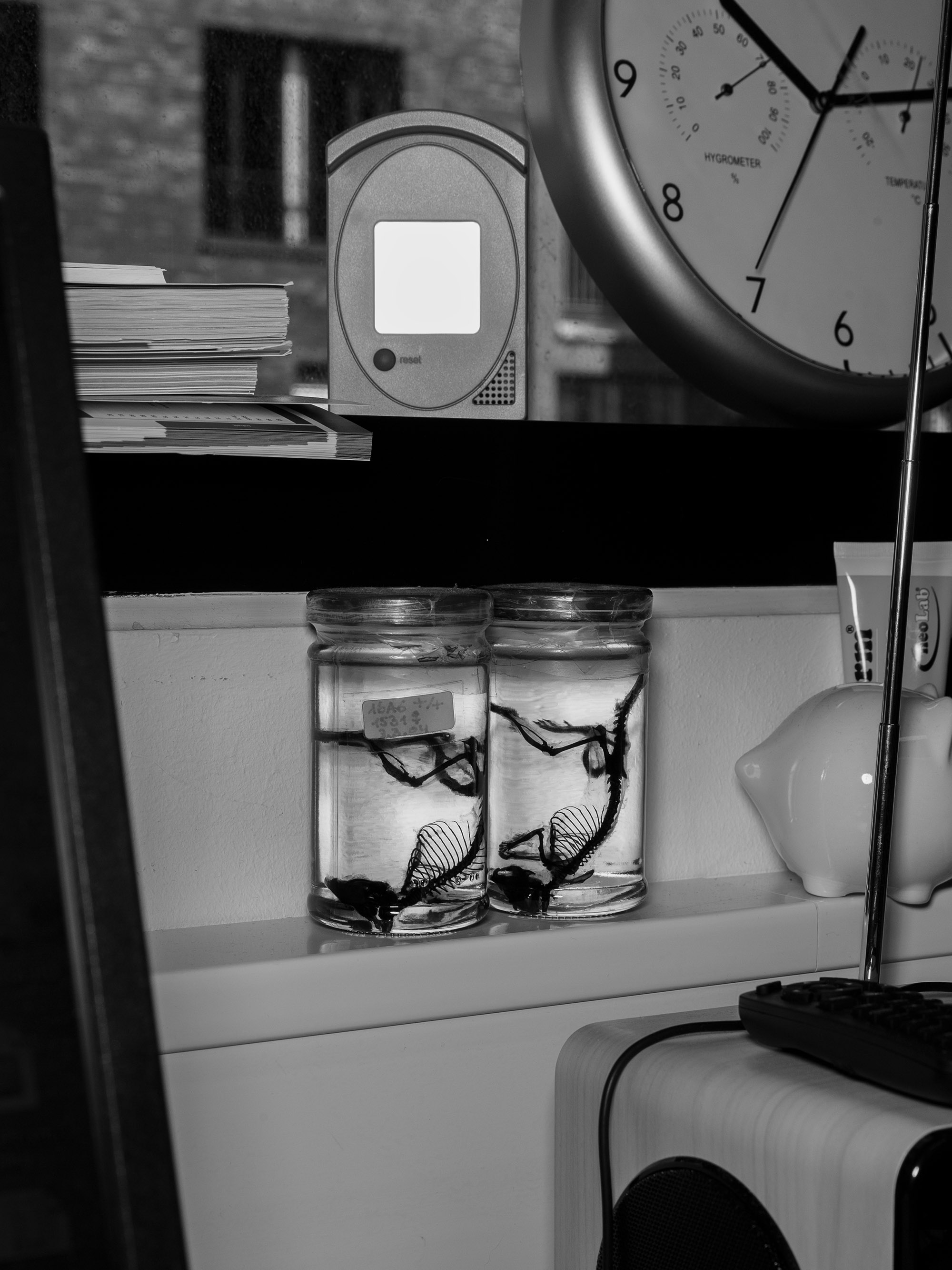  Ricardo Wiesinger Documentary and Portrait Photographer Editorial and Corporate