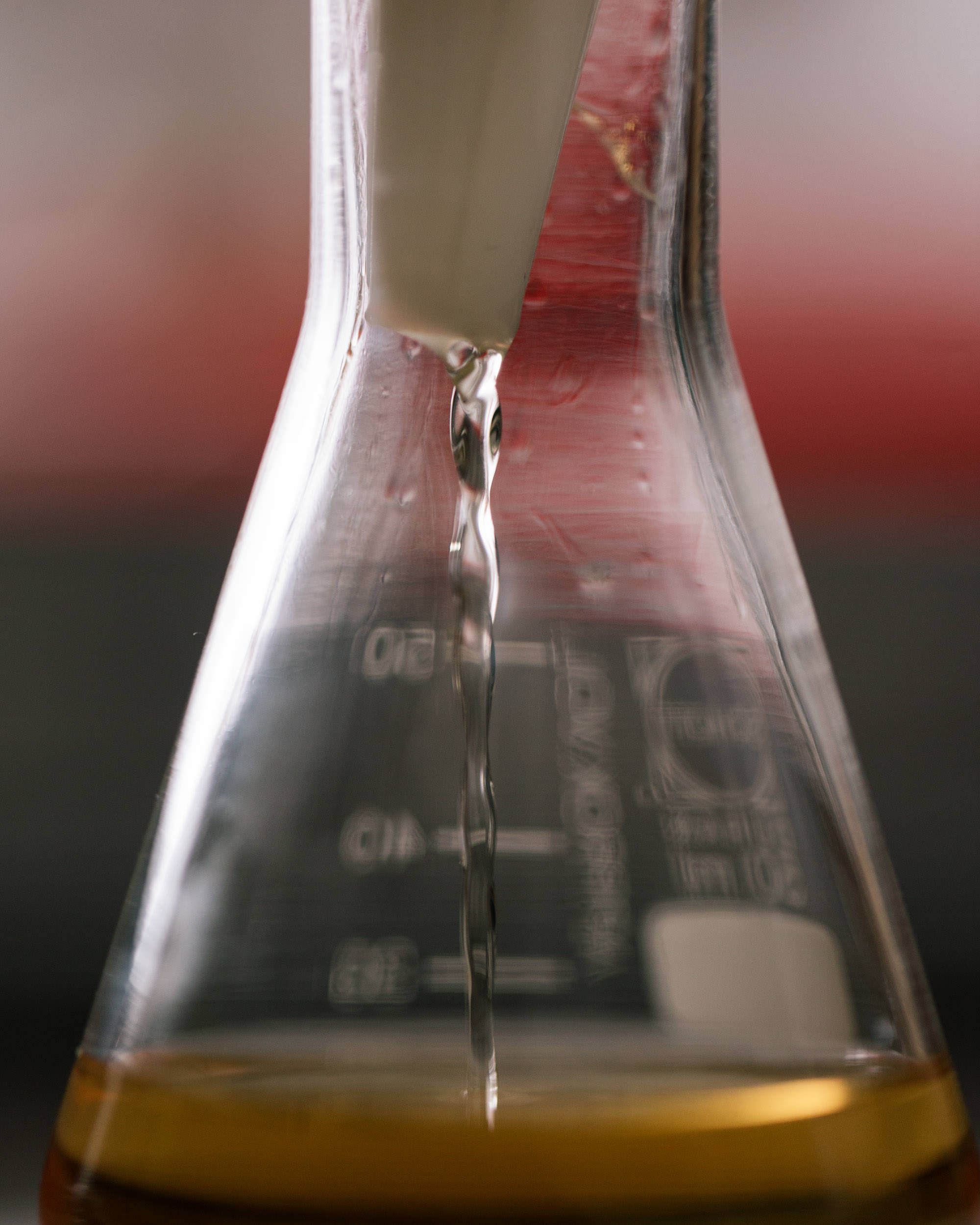  Ricardo Wiesinger Documentary and Portrait Photographer Editorial and Corporate