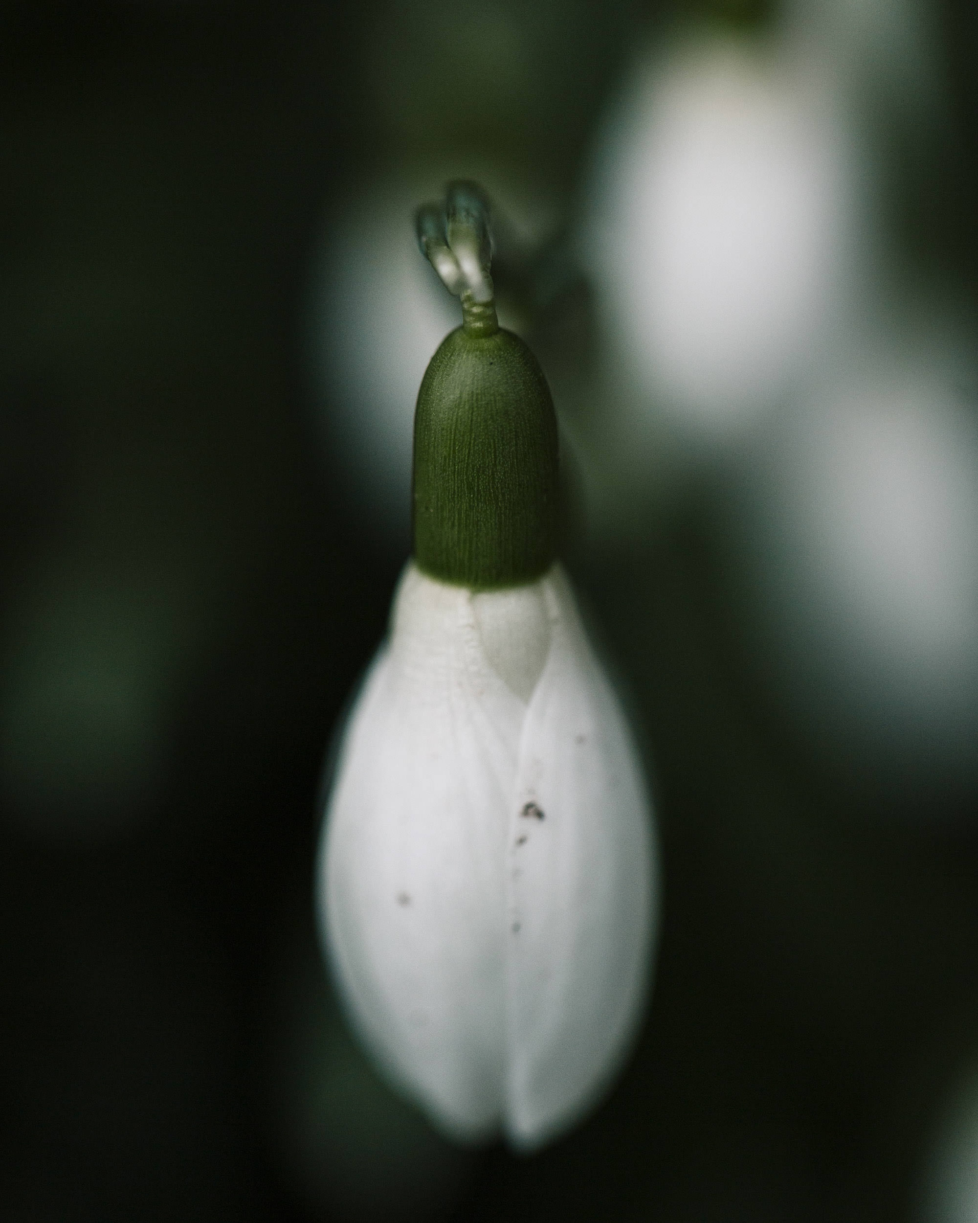  Ricardo Wiesinger Documentary and Portrait Photographer Editorial and Corporate