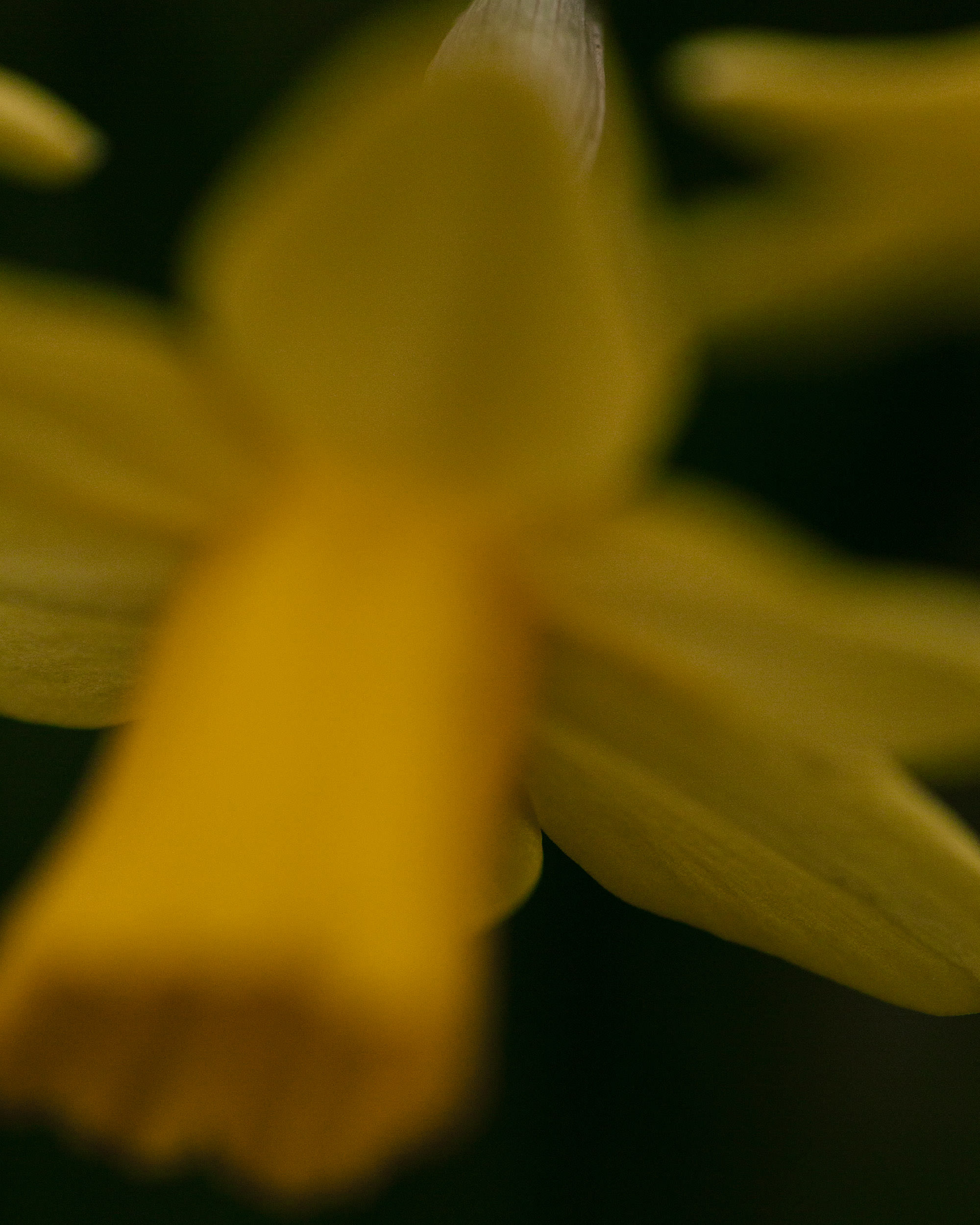  Ricardo Wiesinger Documentary and Portrait Photographer Editorial and Corporate