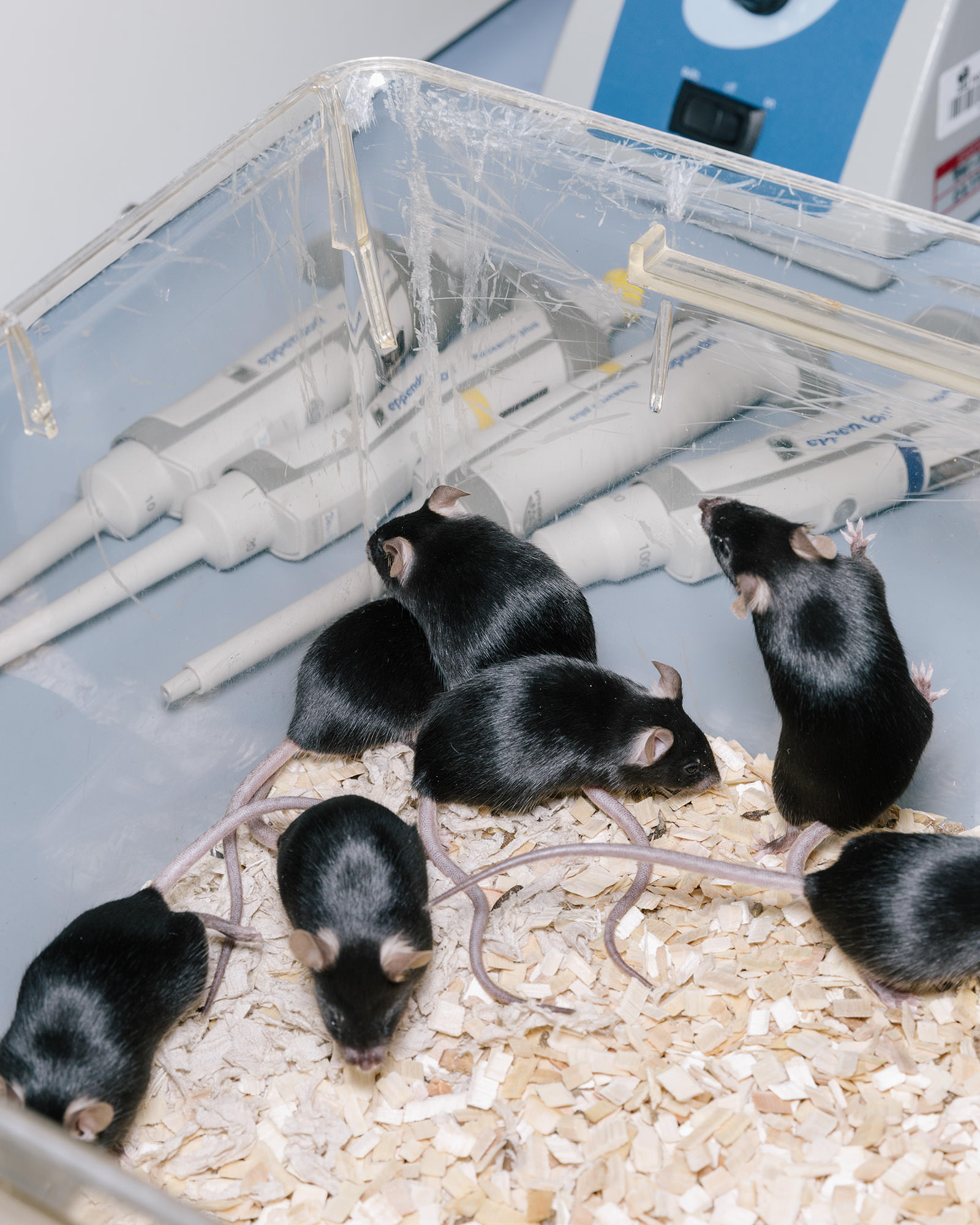  Ricardo Wiesinger Documentary and Portrait Photographer Editorial and Corporate