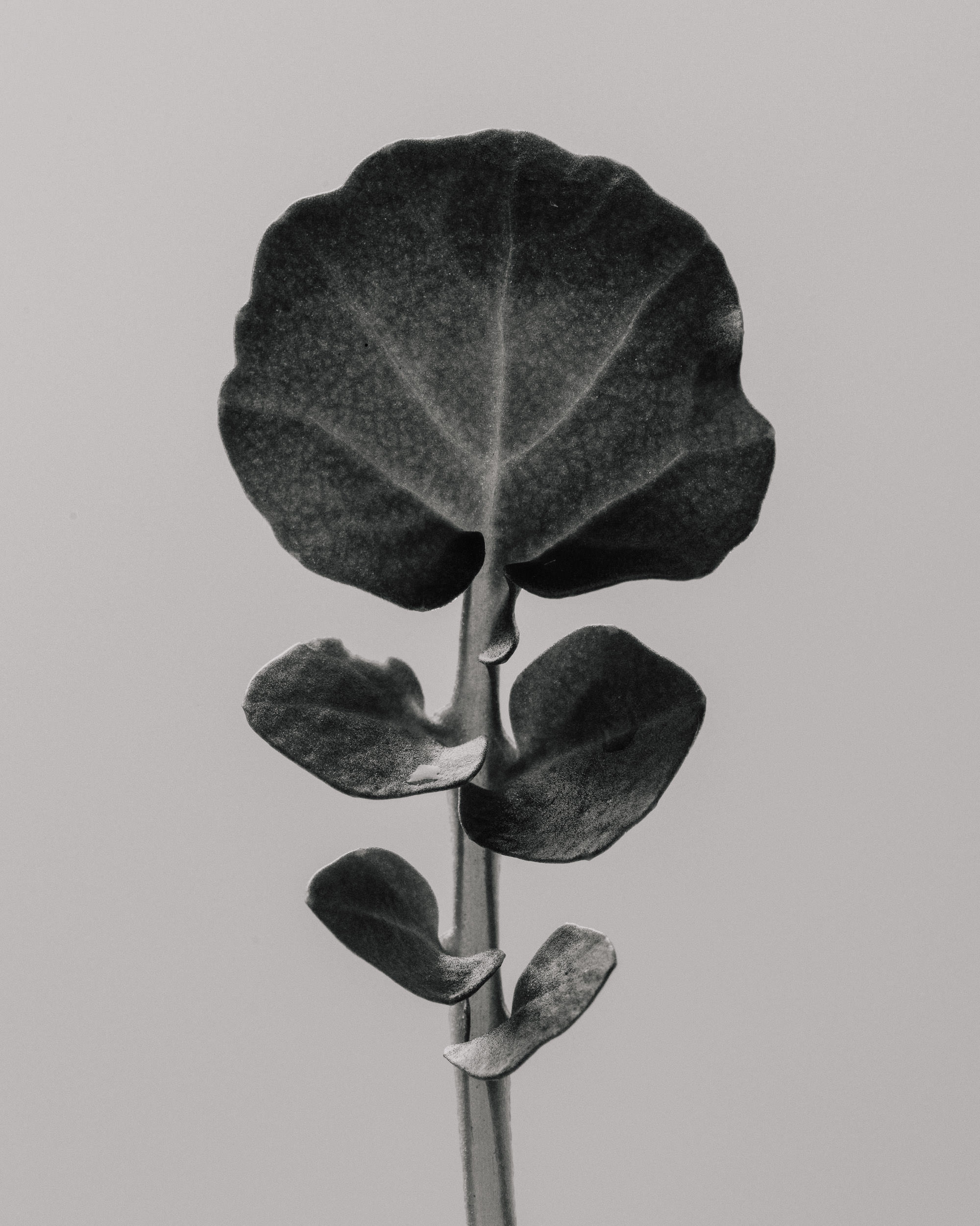  Ricardo Wiesinger Documentary and Portrait Photographer Editorial and Corporate